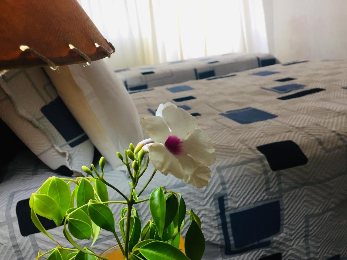 圣雷莫特拉萨斯酒店 Piriápolis 外观 照片